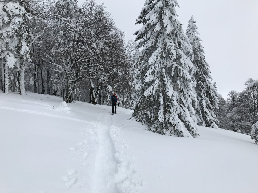 Snow Shoes = Freedom