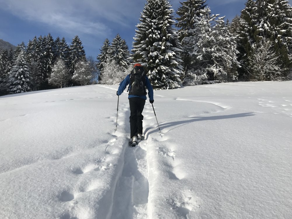 Follow, follow, follow, follow the snow shoe trail
