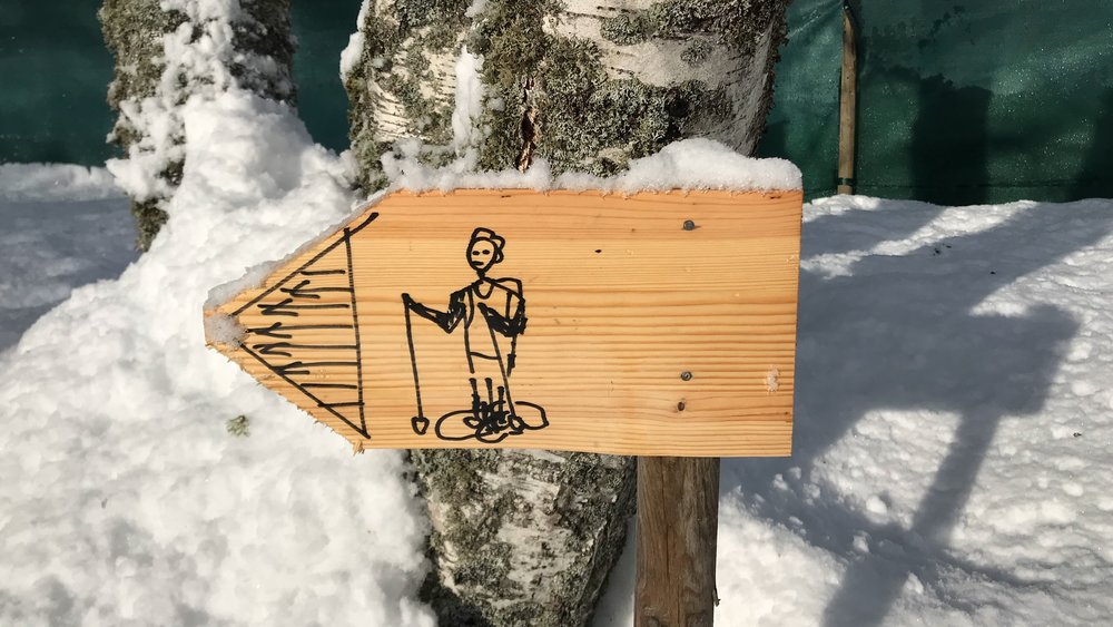 Homemade Snowshoe Directions