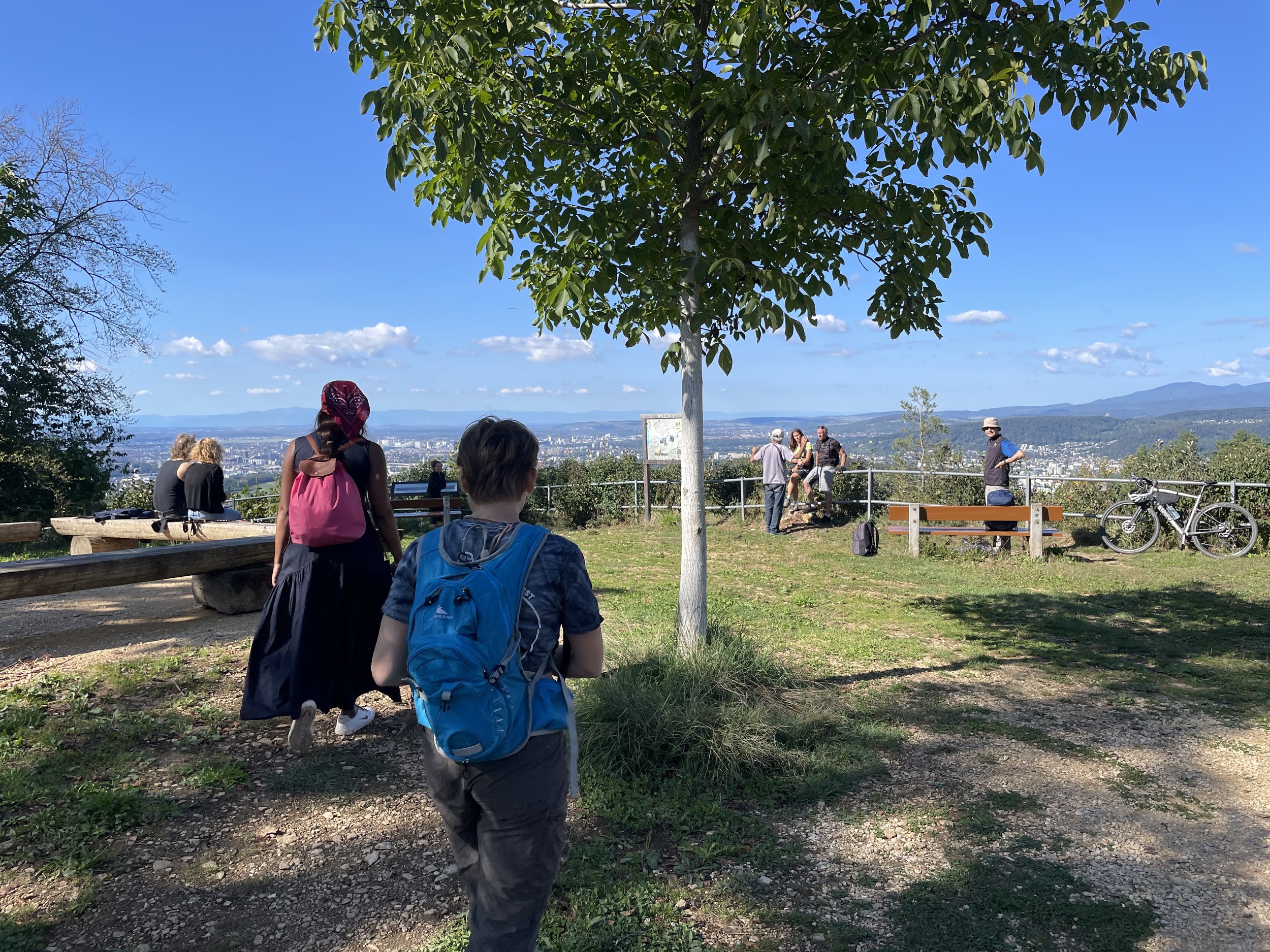 Sulzchopf - view looking north at Basel