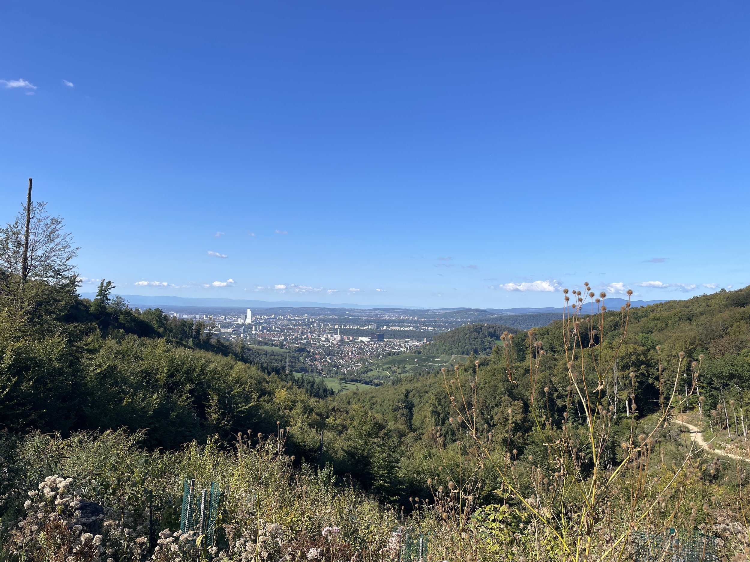 View north to Basel and the Black Forest