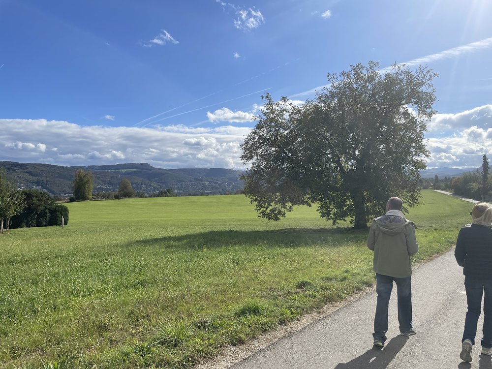 View south-east toward Müchenstein