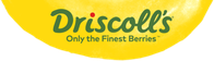 driscoll-s.png