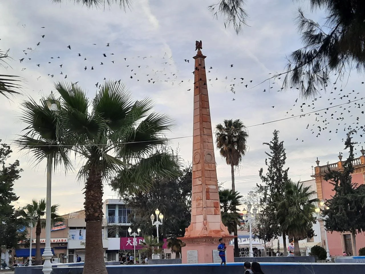 DISFRUTAN FRESNILLENSES DEL JARDÍN OBELISCO — Eco Diario