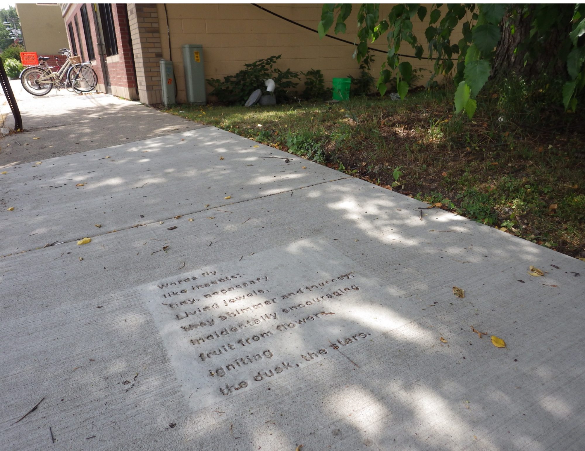 Discover Northfield’s One-of-a-Kind Sidewalk Poetry