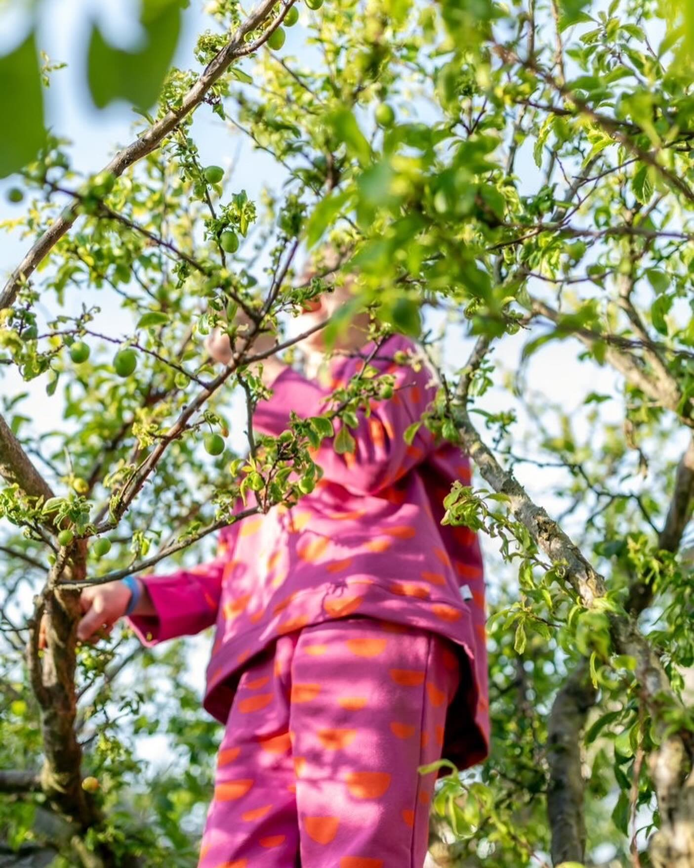 The honey bee sweatshirt and joggers 🥰
Time is flying by and I&rsquo;ll be back at the office in a few months already🥲! In the meanwhile (and after too 😉) you can get your Merle Kids gear from my wonderful stockists, like @hooplakids (🇳🇿), who t