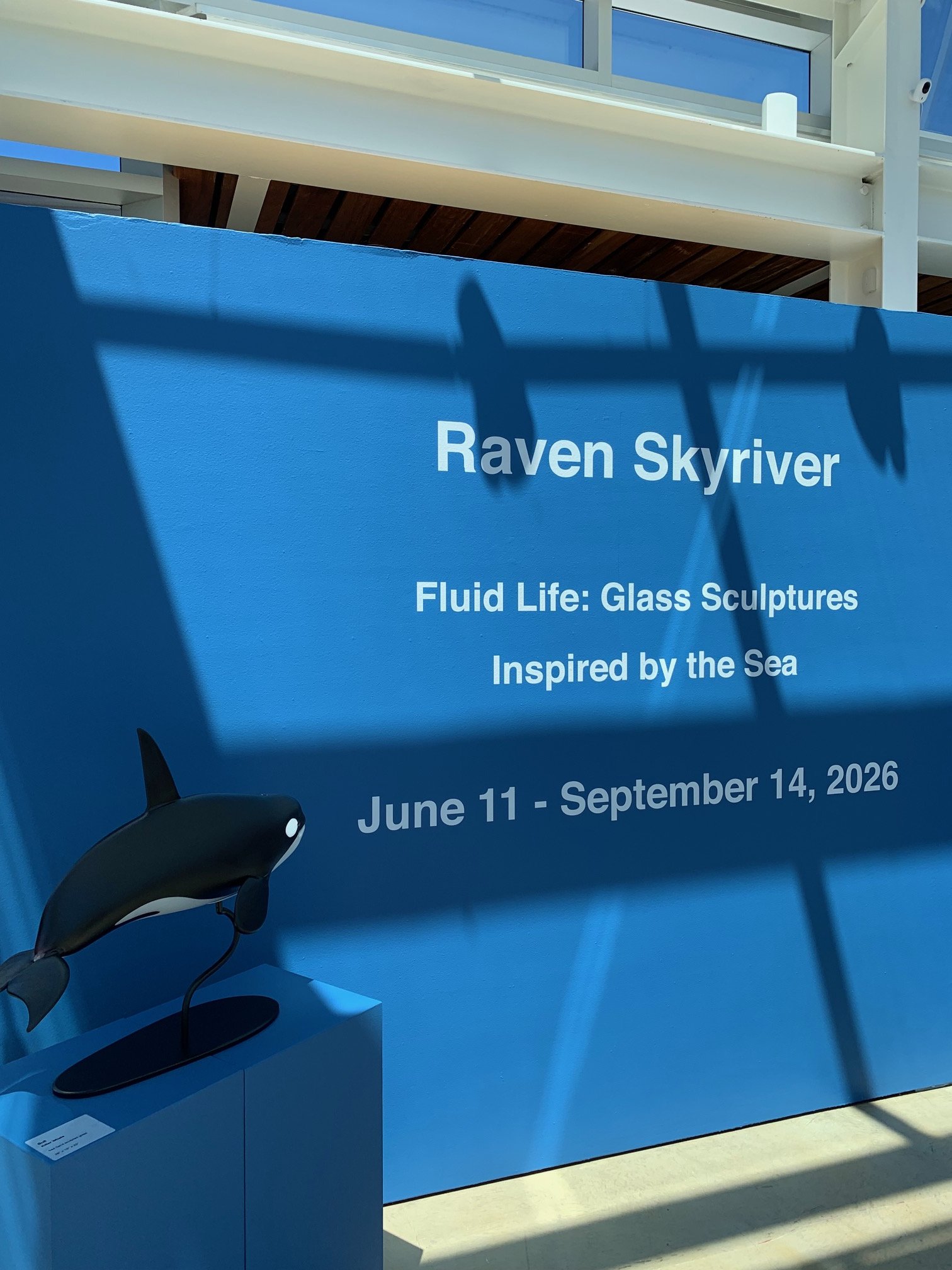 W. Smith_Raven Skyriver_SJIMA_13.jpg