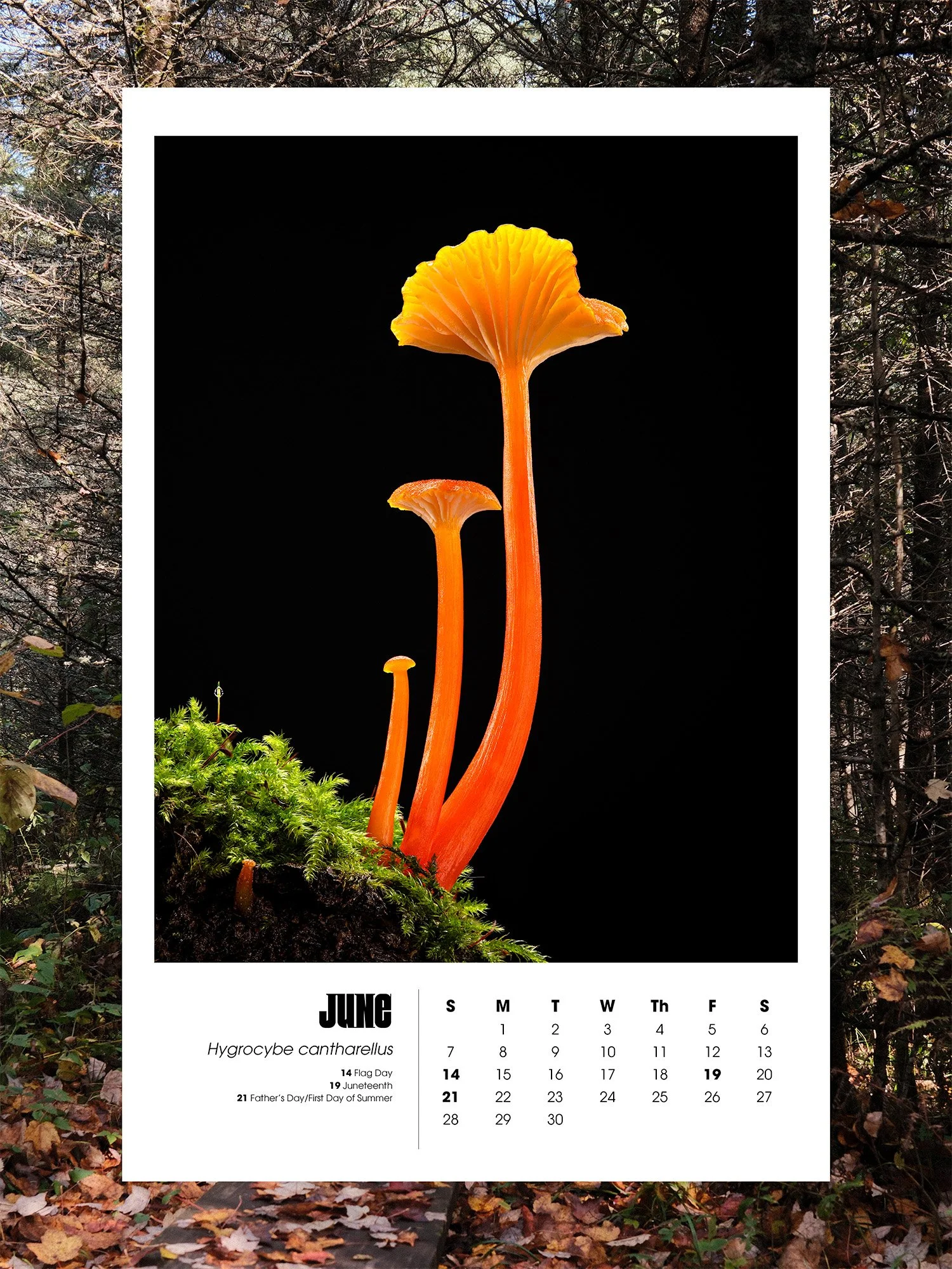 June.jpg