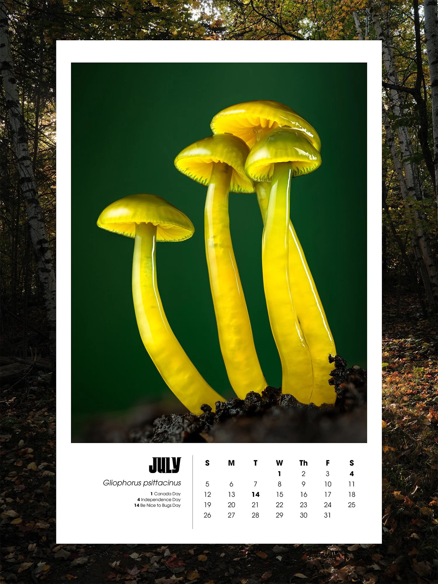 July.jpg