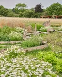 Glastonbury retreat Apothecary Gardens Wooden steps leading down to a grassy area with flowers, trees, and a building in the background.