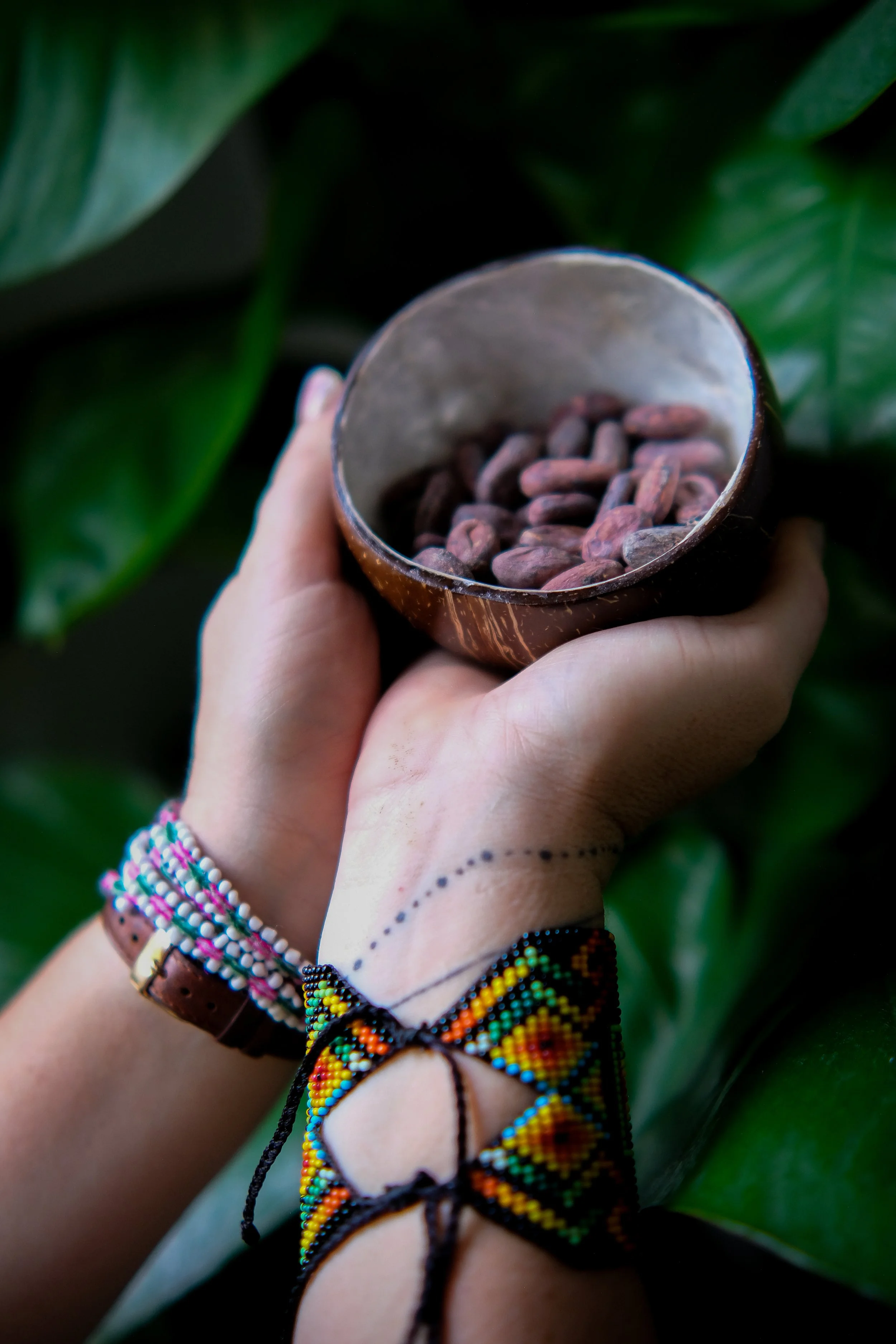 Cacao and Artistic expression workshop