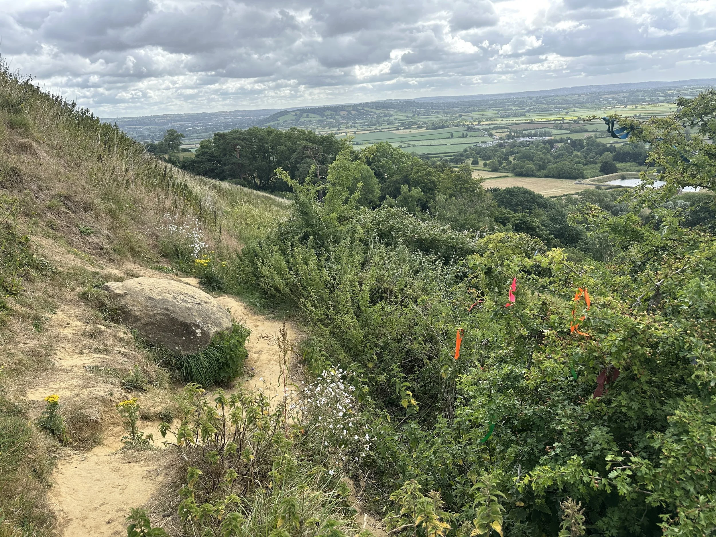 Glastonbury retreat egg stone and hawthorn.  landscape with a small dirt trail on the left, lush green bushes on the right with colorful clooties tied to the branches, and rolling fields and trees extending into the distance under a cloudy sky.