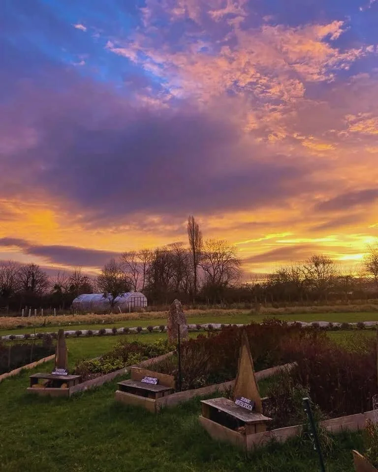 Glastonbury retreat Apothecary Gardens Sunset over a garden with flower beds, small signs, and trees in the background, under a colorful sky with purple, pink, and orange clouds.
