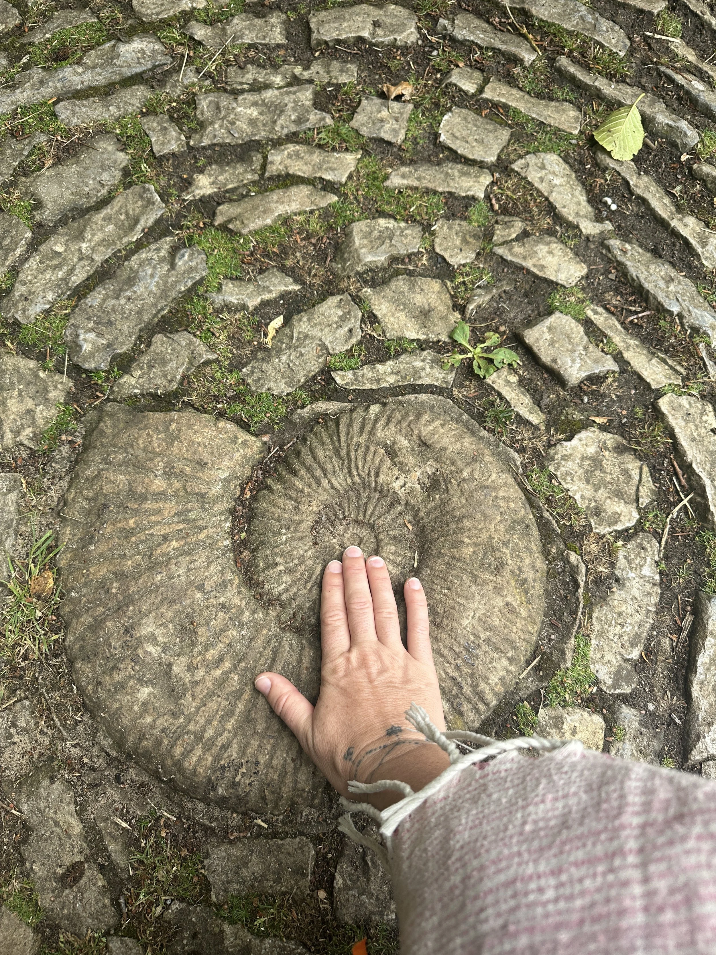 The scared spiral, Chalice Well Glastonbury