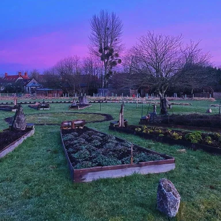 Glastonbury retreat Apothecary Gardens A garden with raised beds, trees, and a purple sunset sky in the background.