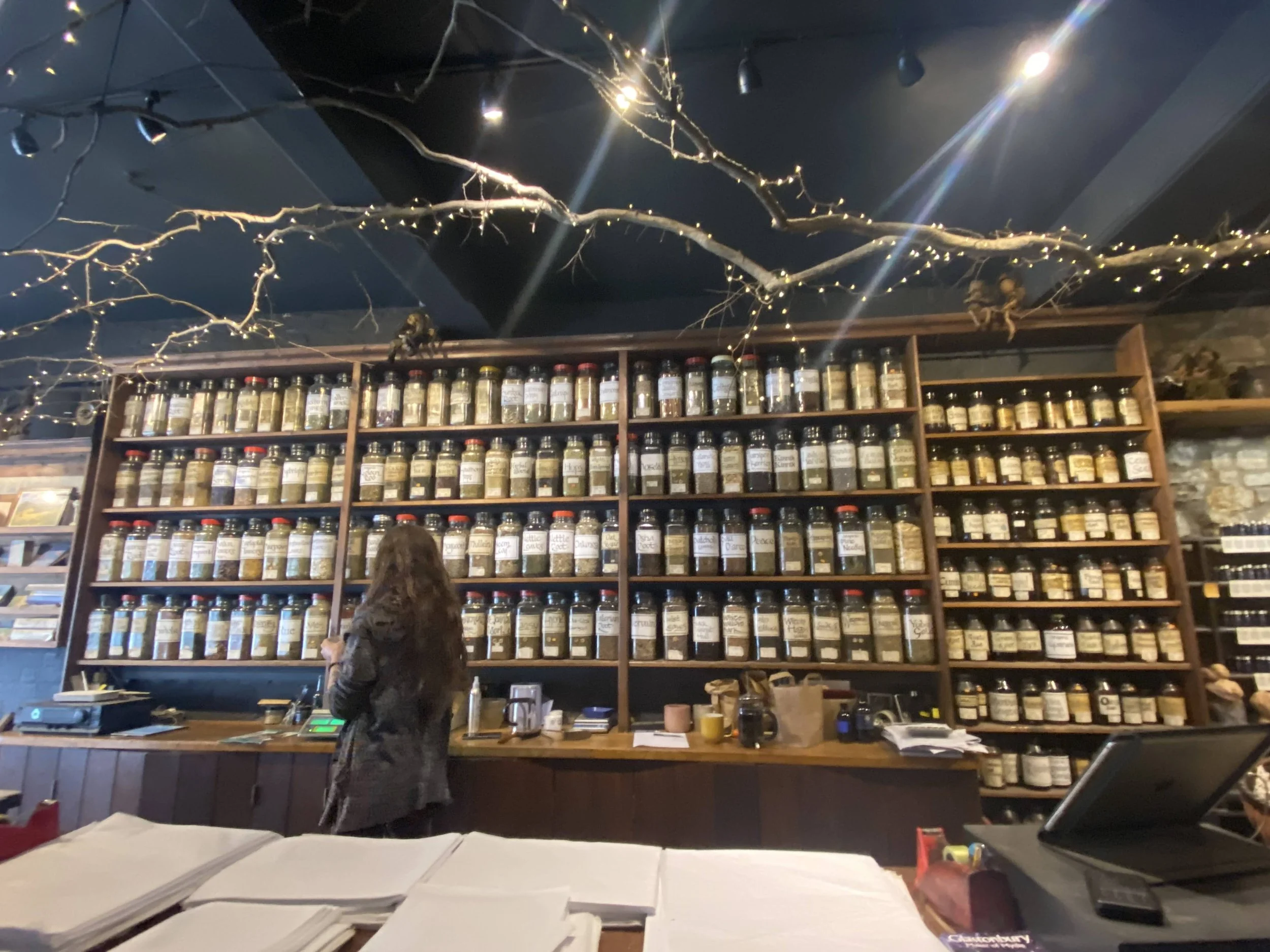 Glastonbury woman standing at a counter in Star Child, facing a large wooden shelving unit filled with numerous jars, possibly containing herbs, spices, or teas. The ceiling has decorative branches with string lights, creating a cozy atmosphere.