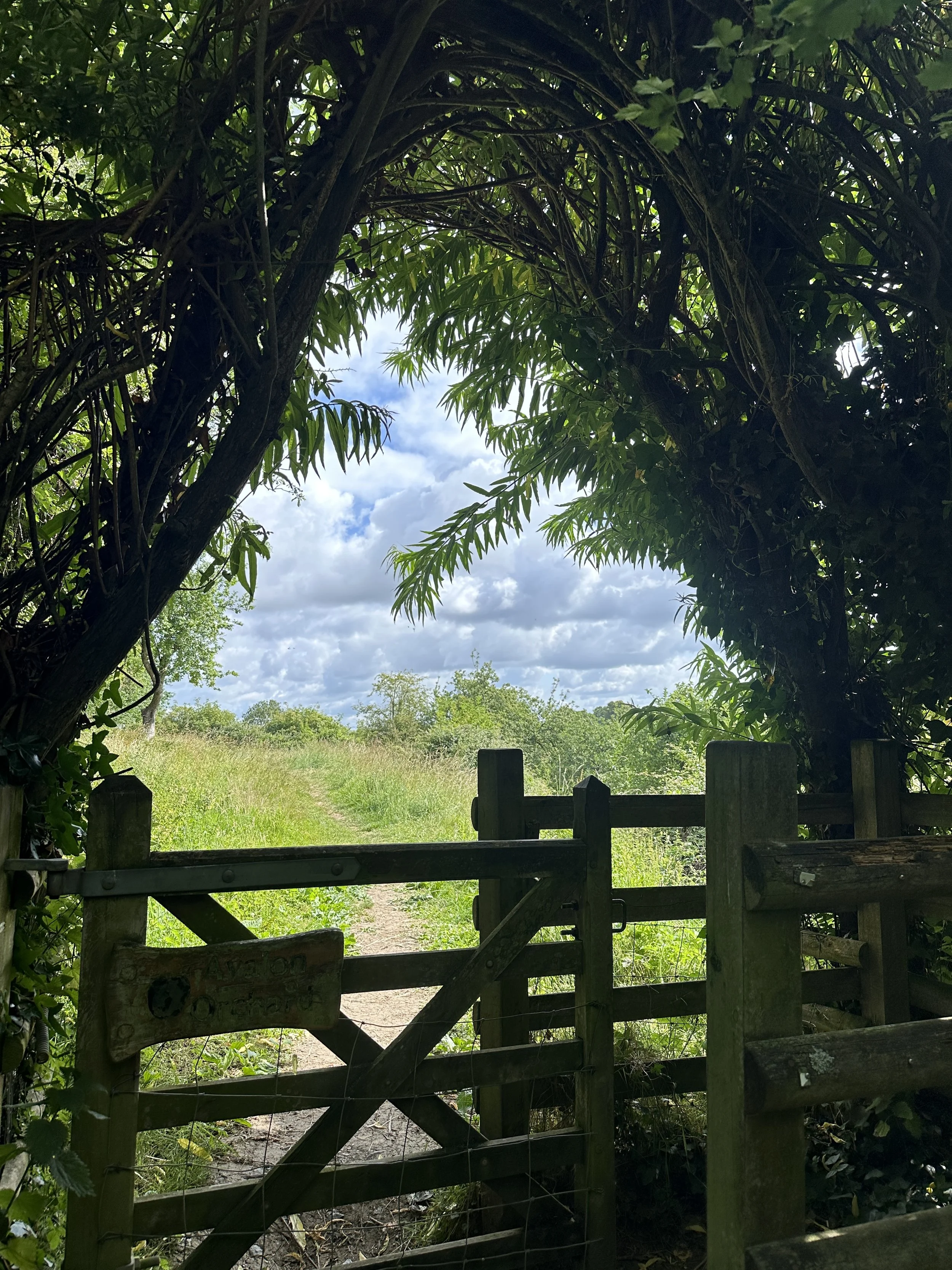 Glastonbury retreat Avalon Apple orchard A wooden gate opening to a grassy field with a dirt path leading into the distance under a partly cloudy sky, surrounded by lush greenery and trees.