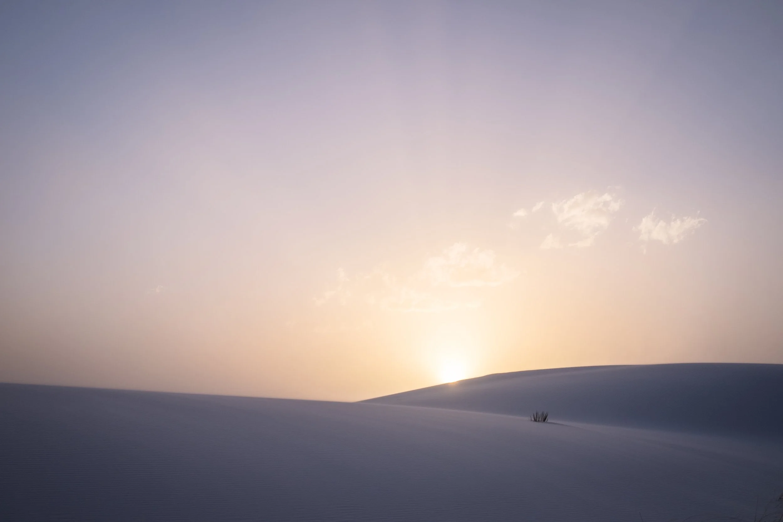 220301LC_DrivingCuriosity_192 (1).jpg