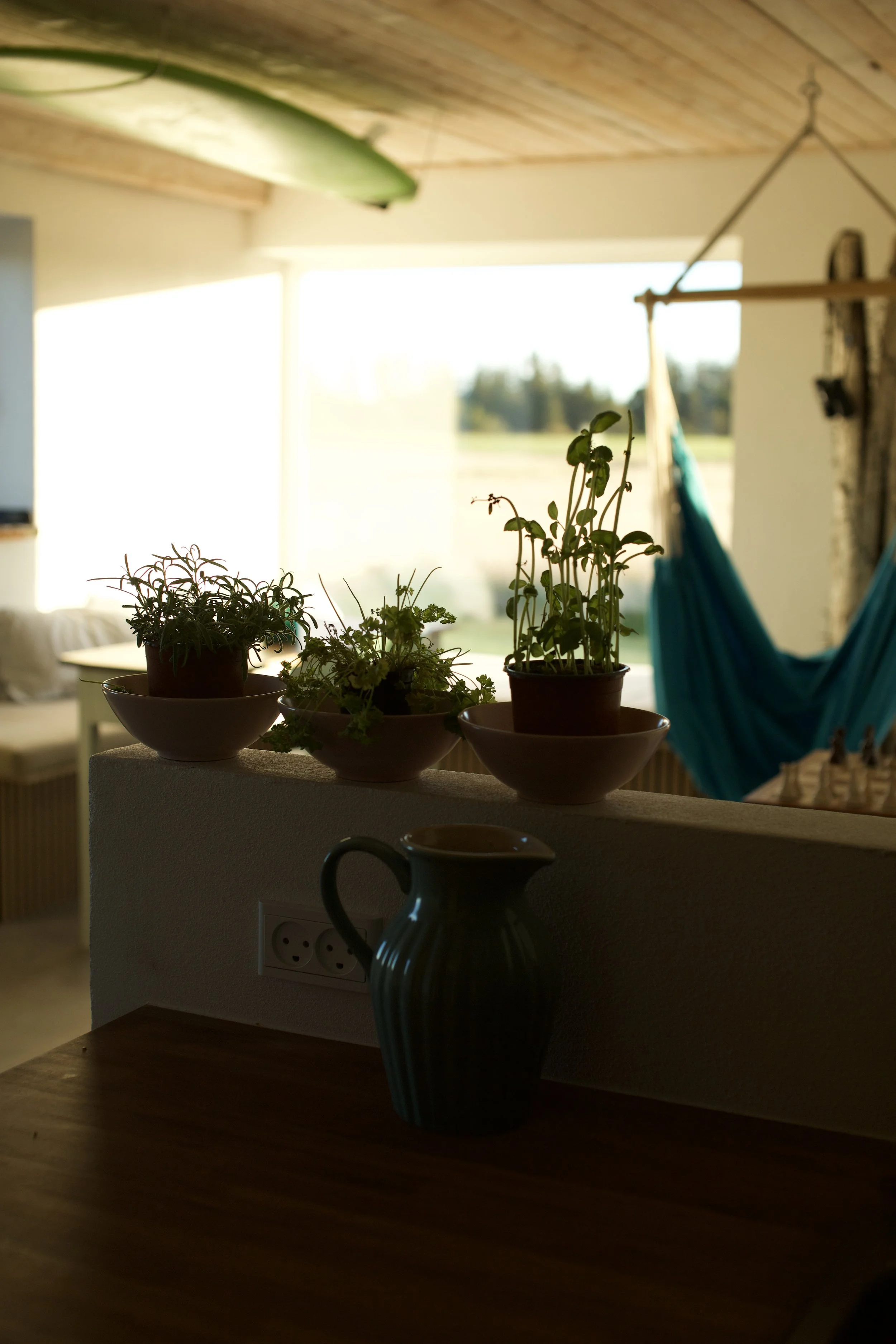 Indoor scene with three potted plants on a ledge, a hanging hammock chair in the background, and a large window letting in natural light.