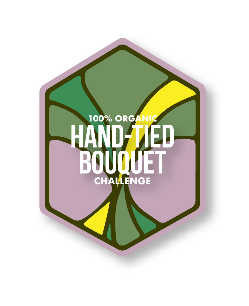 HandTiedHomepage3@3x.png