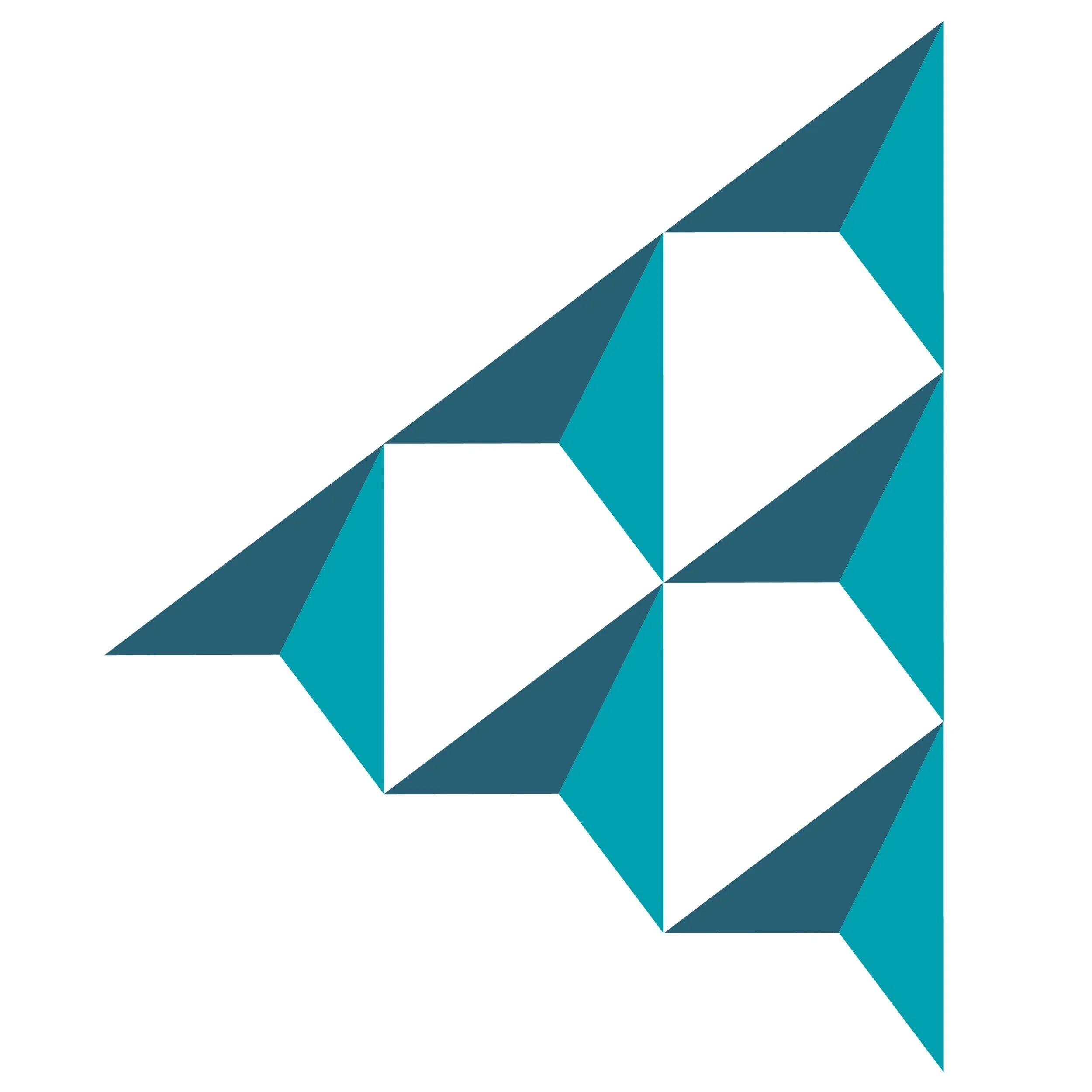 ROC Stars: A New Staff Development Initiative for JA Regional Operating Centers