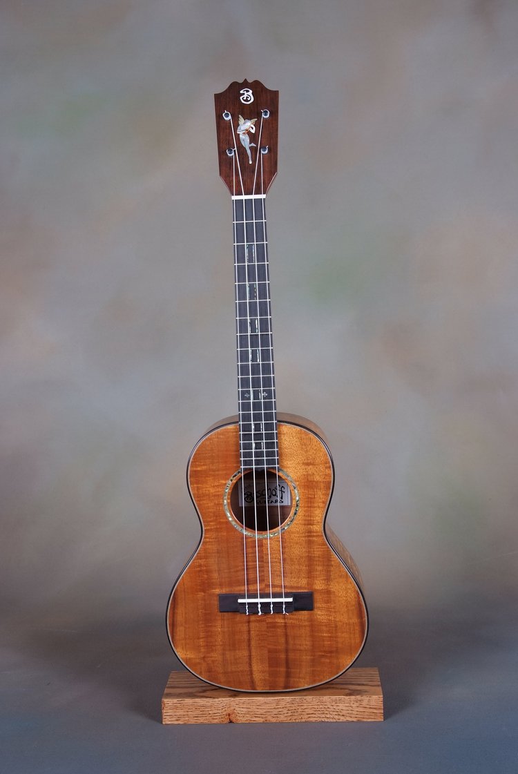 hand-made-guitars-bischoff-guitars