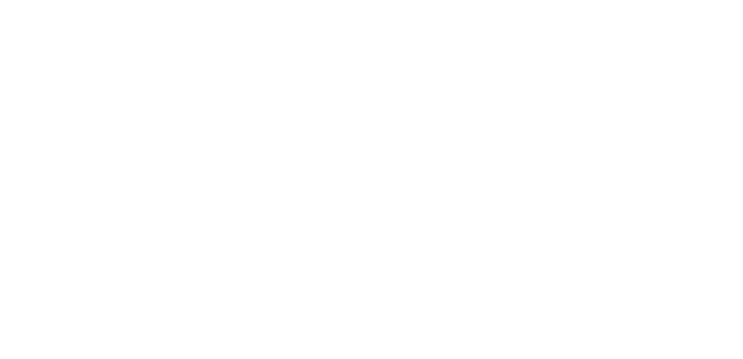 Bischoff Guitars