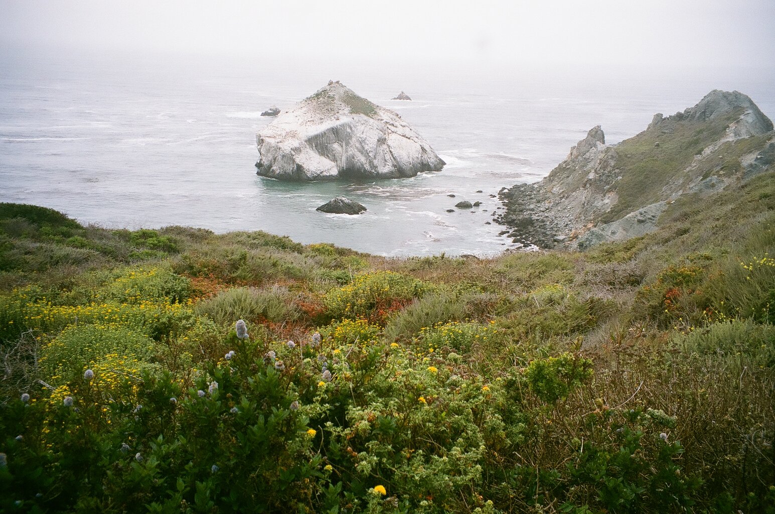  Big Sur, California. 2021. 