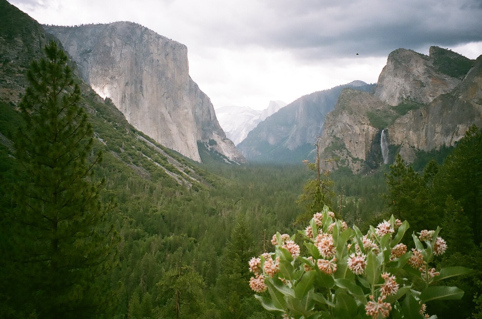  Yosemite National Park, California. 2021. 