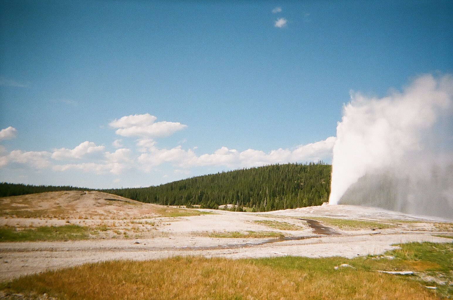  Yellowstone National Park, Wyoming. 2021. 