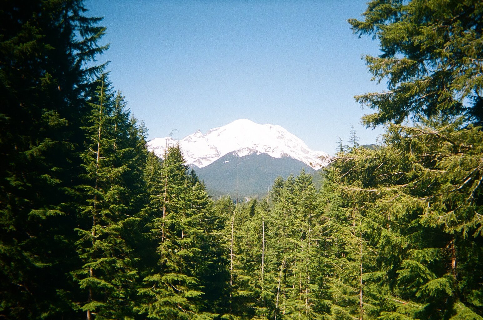  Mount Rainier National Park, Washington. 2021. 