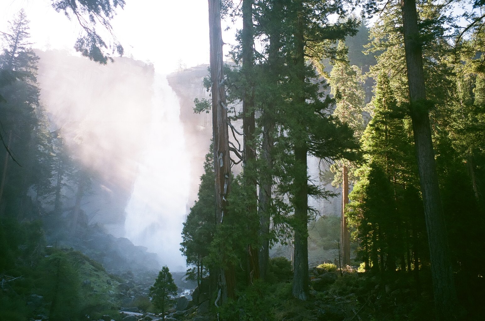  Yosemite National Park, California. 2021 