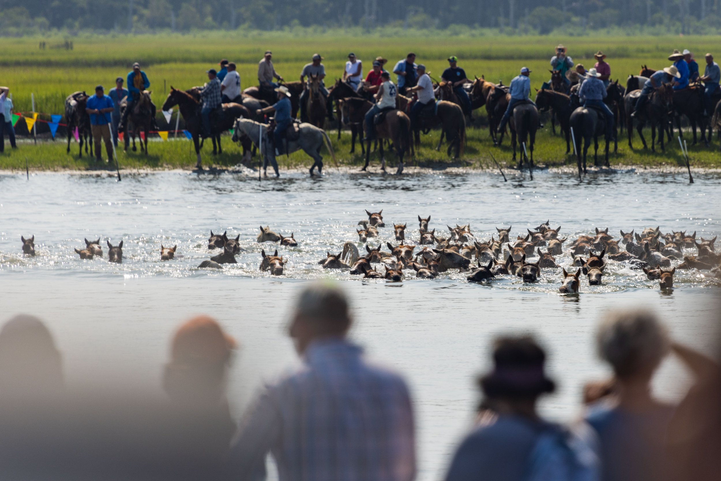  The Saltwater Cowboys swim ponies at 10:15 a.m. during slack tide from Assateague Island to Chincoteague Island on July 26, 2023, in the 98th annual Chincoteague Pony Swim on the Eastern Shore of Virginia. The swim takes three minutes to complete. (