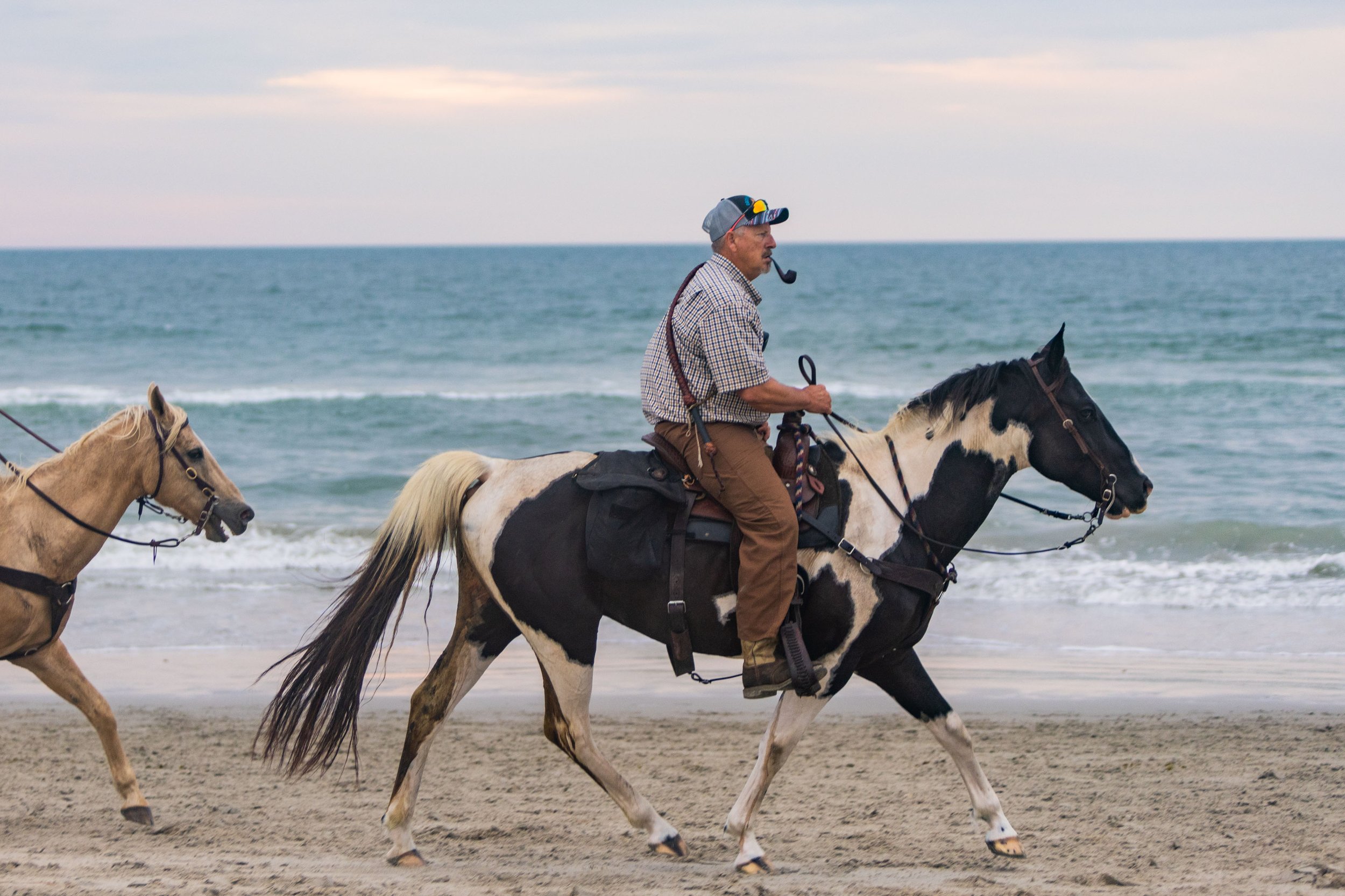  The Saltwater Cowboys guide the Northern Herd Chincoteague ponies for five miles from the Northern Corral to the Southern Corral along the Atlantic Ocean on Assateague Beach to join the two herds at daybreak on Monday, July 24, 2023. All of the Salt