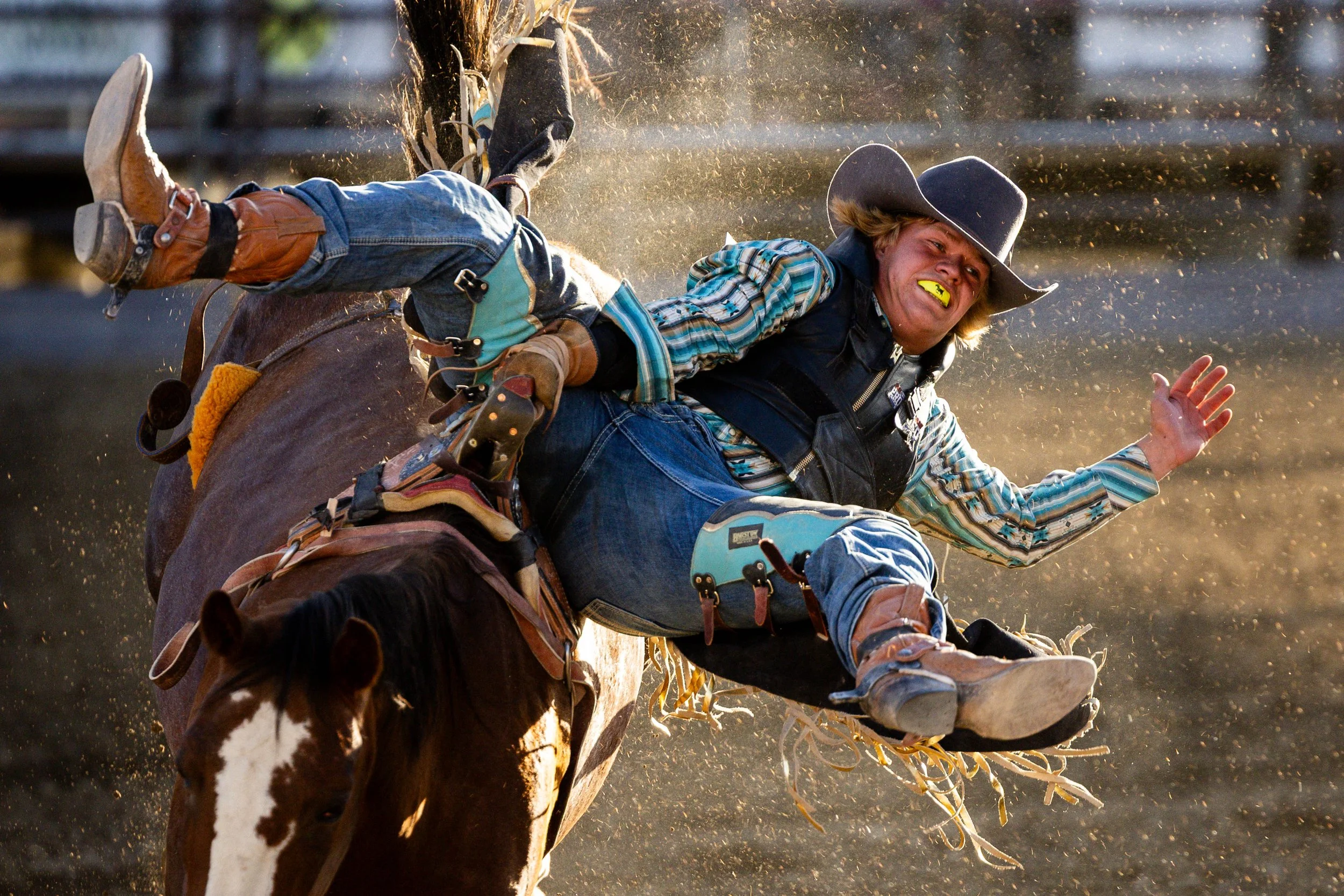  A rodeo rider participates in the bareback competition during the Western Night Rodeo at the Utah County Fair in Spanish Fork on Thursday, July 31, 2025. 