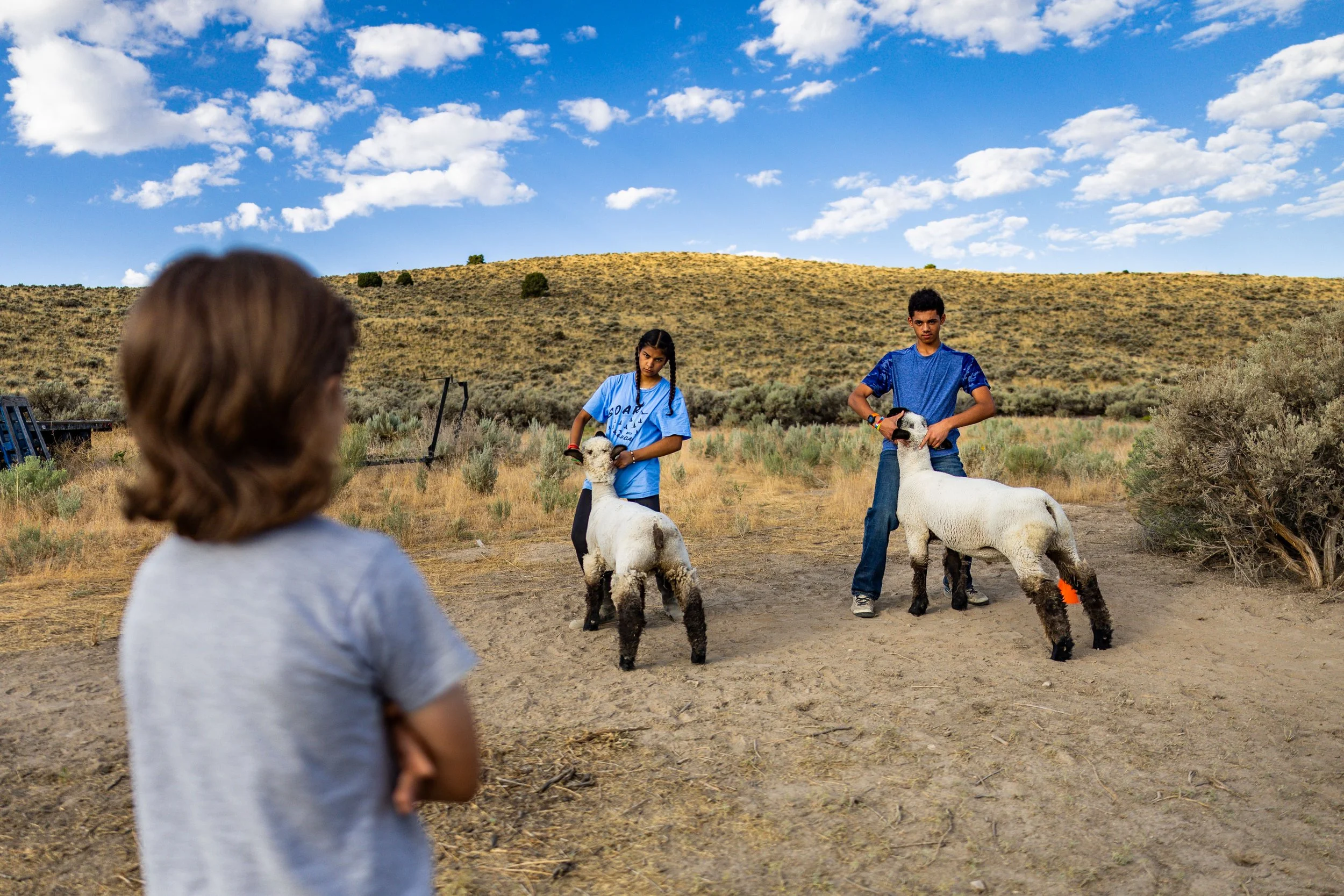  Cohen Hooper, 9, left, pretends to be a judge while his siblings Maya Hooper, 18, center left, and Daven Hooper, 13, center right, practice how to set up their lambs before competing in the upcoming Utah County Fair at their family friend’s property
