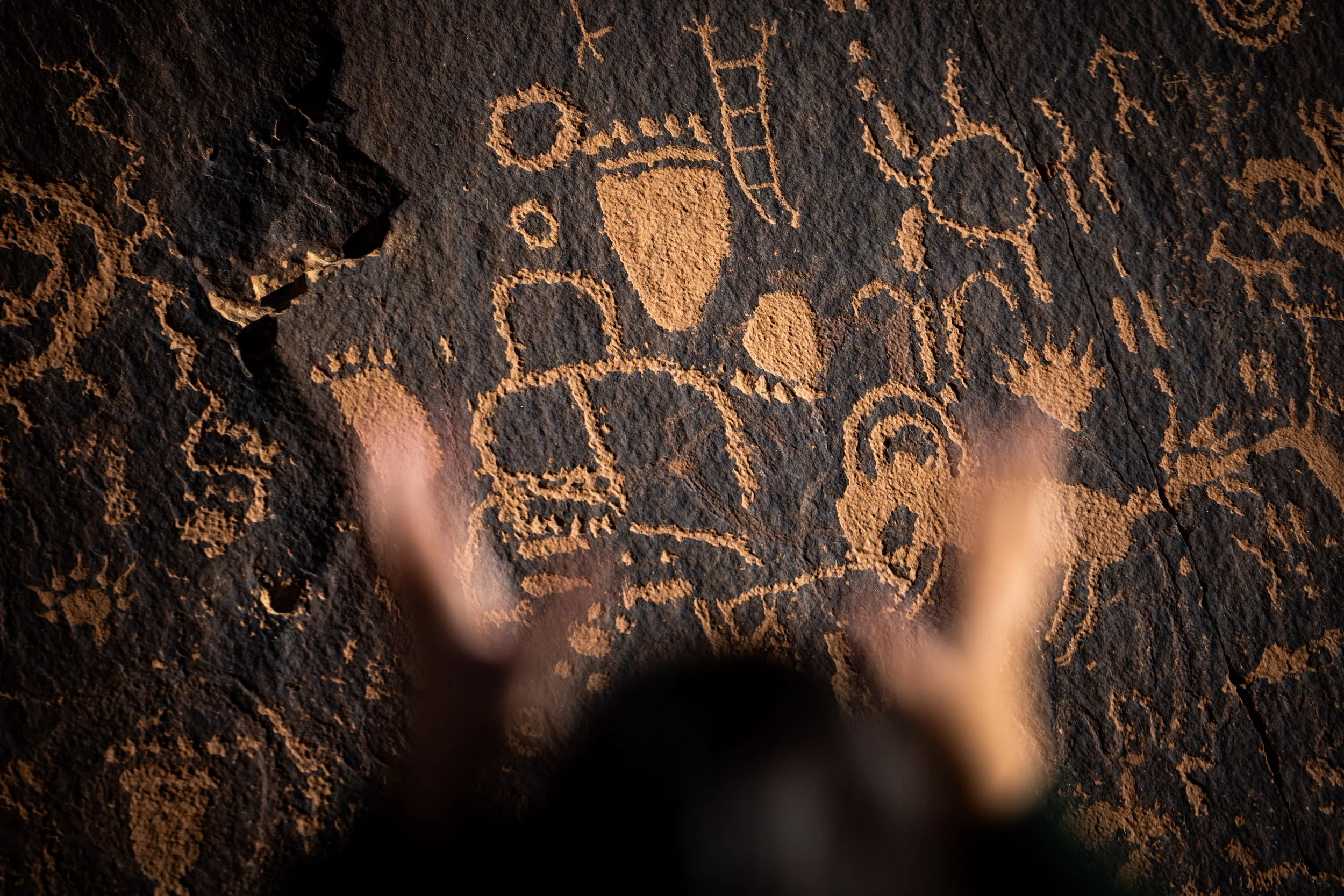 bears ears POYI02.JPG