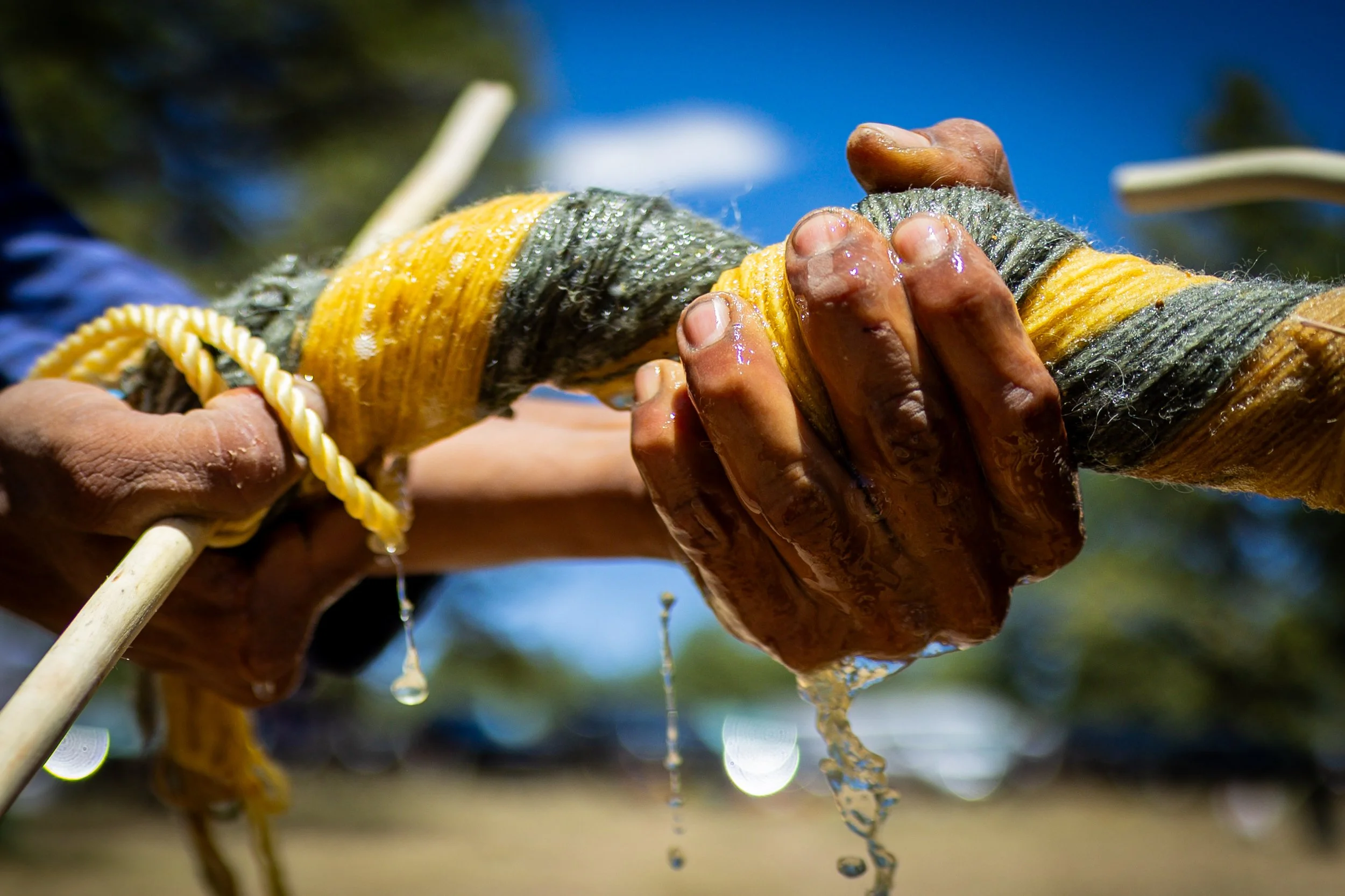 bears ears POYI13.JPG