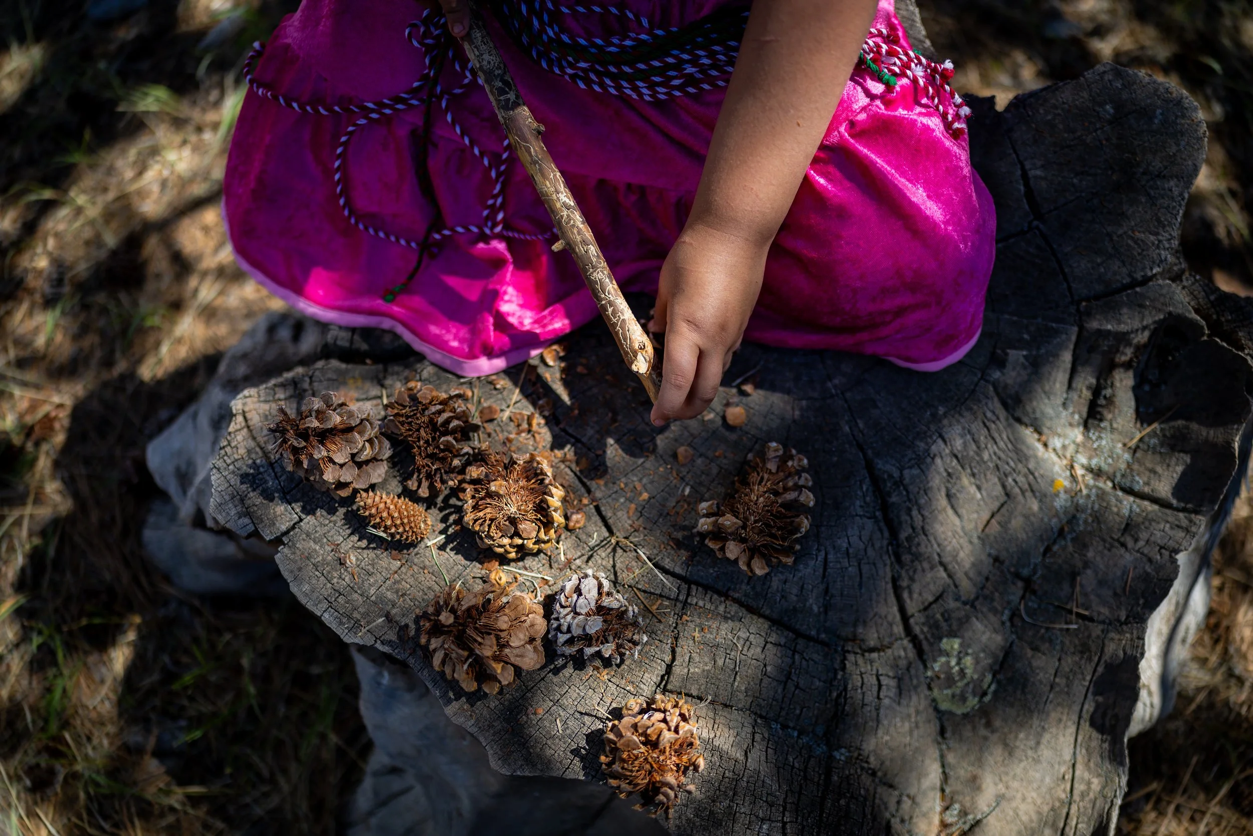 bears ears POYI20.JPG