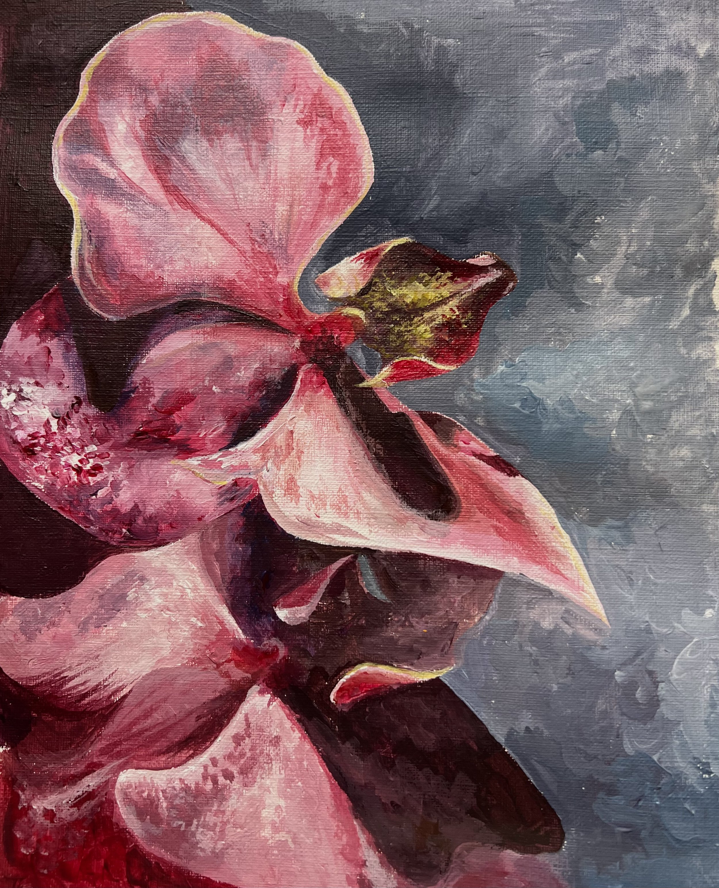 Orchid | Ana Vissicchio
