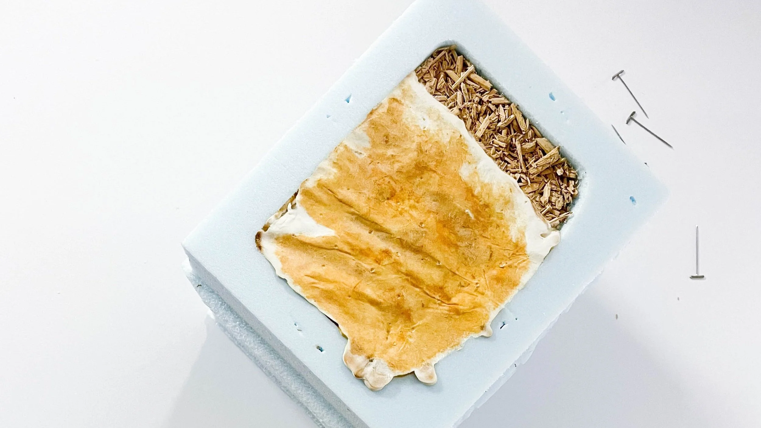mycelium1.jpg