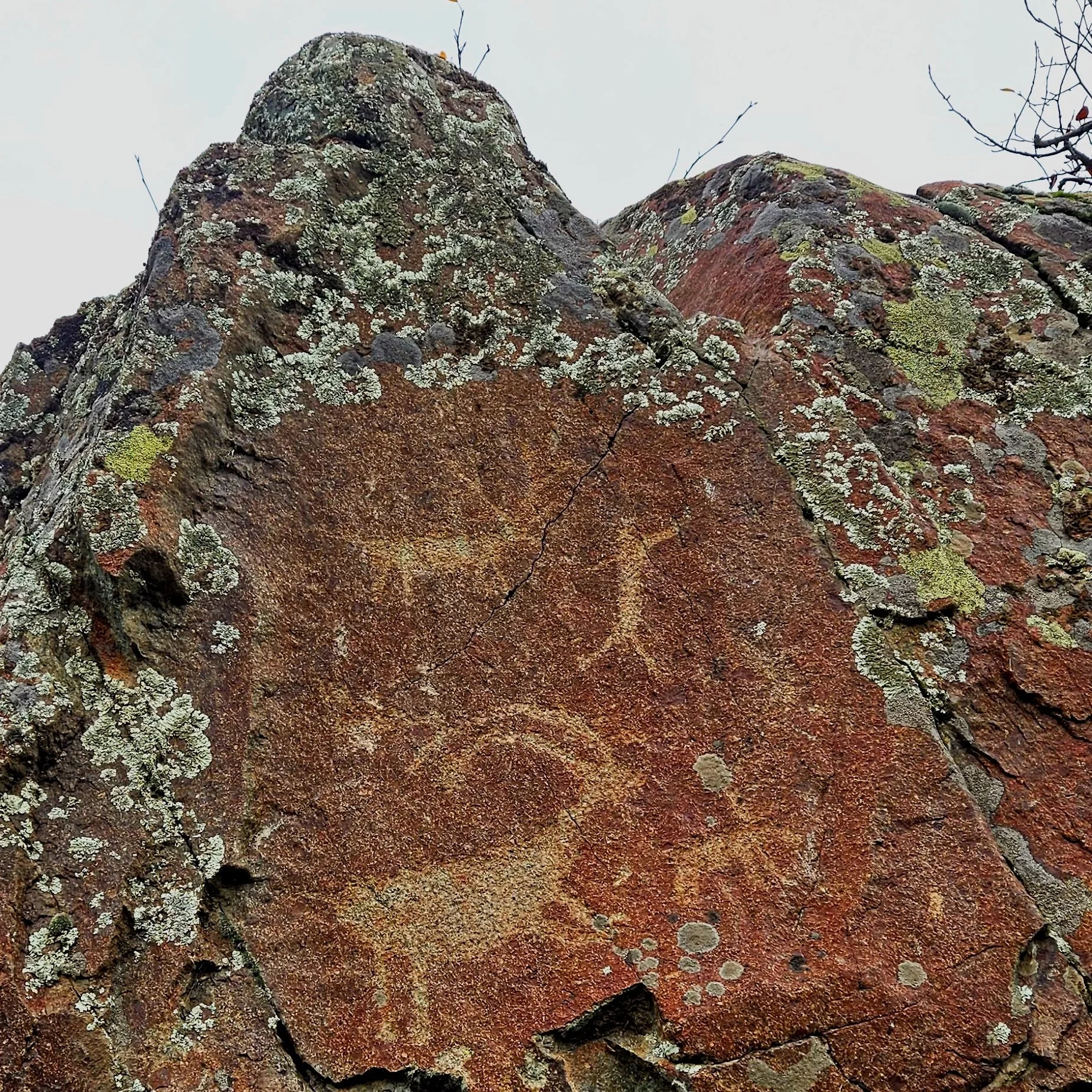 ˀilaˀqatp’áatpa (Buffalo Eddy) Petroglyph Tour