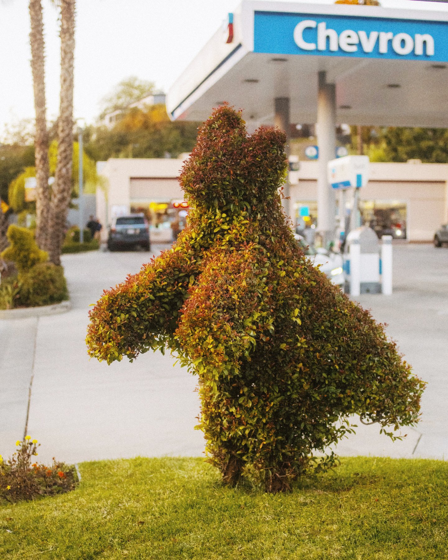 MaxKnight_CCC_GasStationAnimals_1.jpg