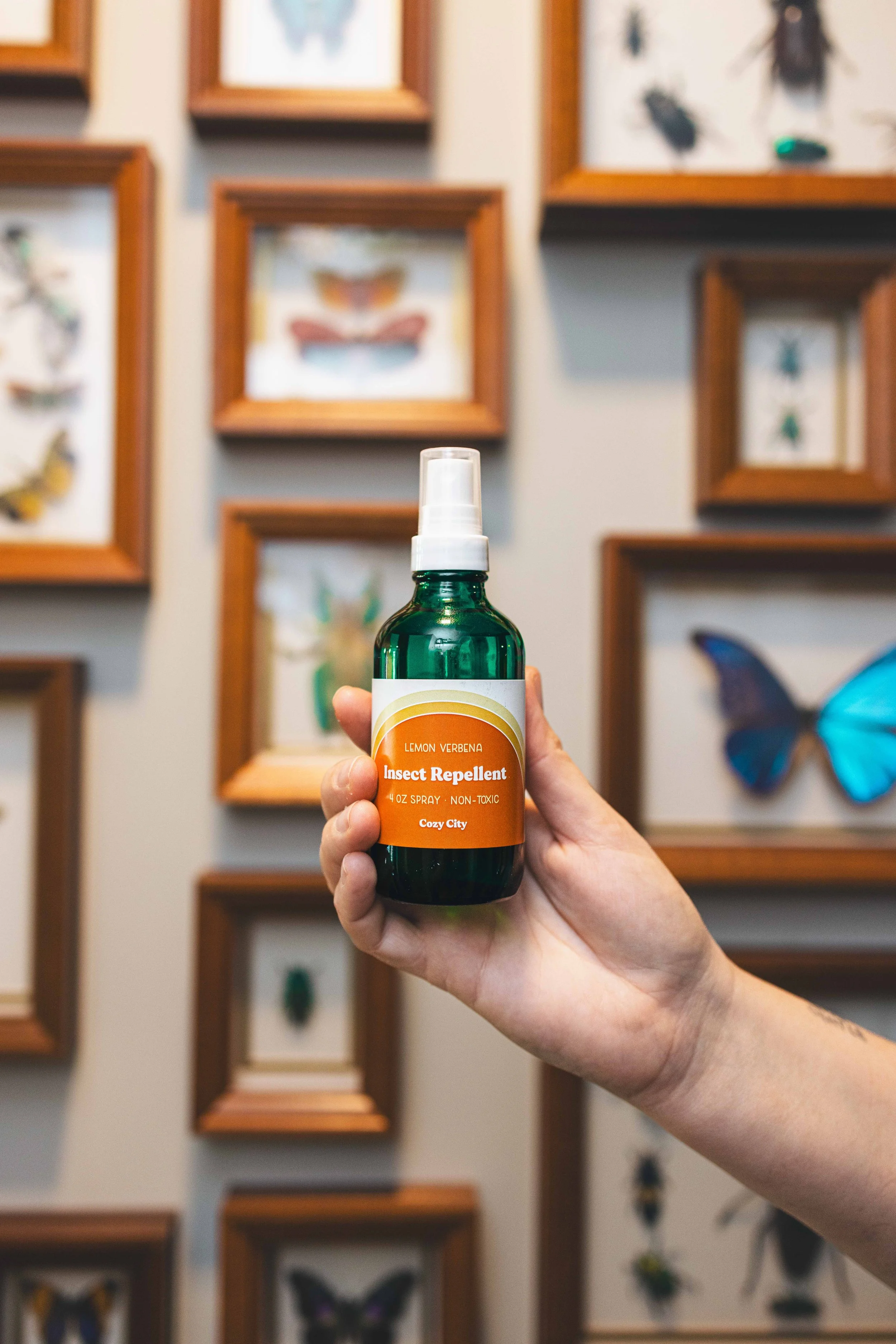 insect replent 4.jpg