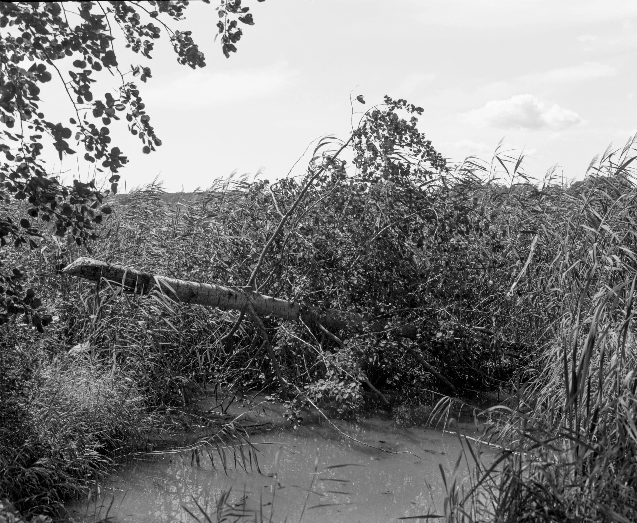 R1-07067-0019.jpg