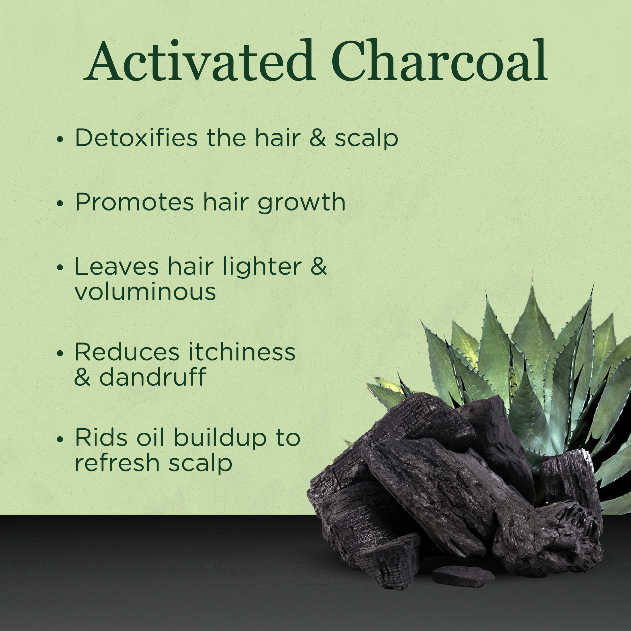 SARAGAN IMAGES SHAMPOO-1 Activated.png