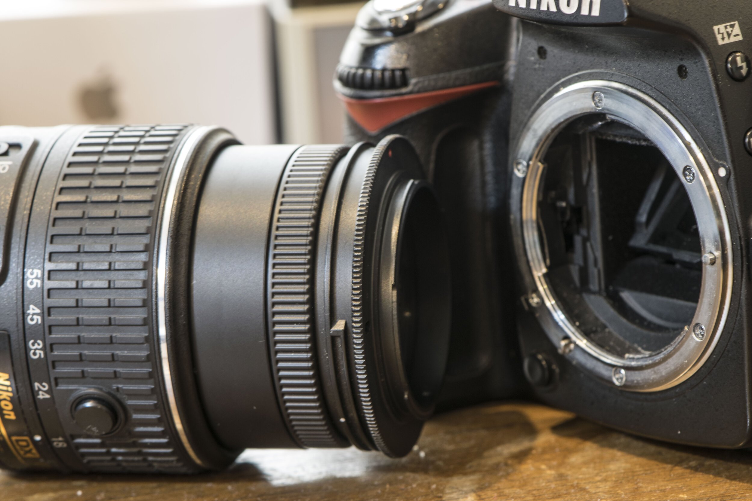 Reverse Mounted Nikon 18-55mm lens for Macro Photography