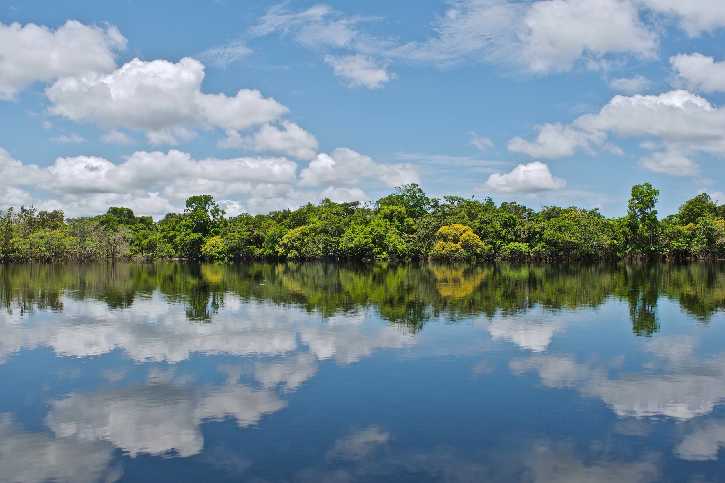  Upper Orinoco flood forest, river and sky, Vichada Department, Colombia. Image: ©J. Vannini 