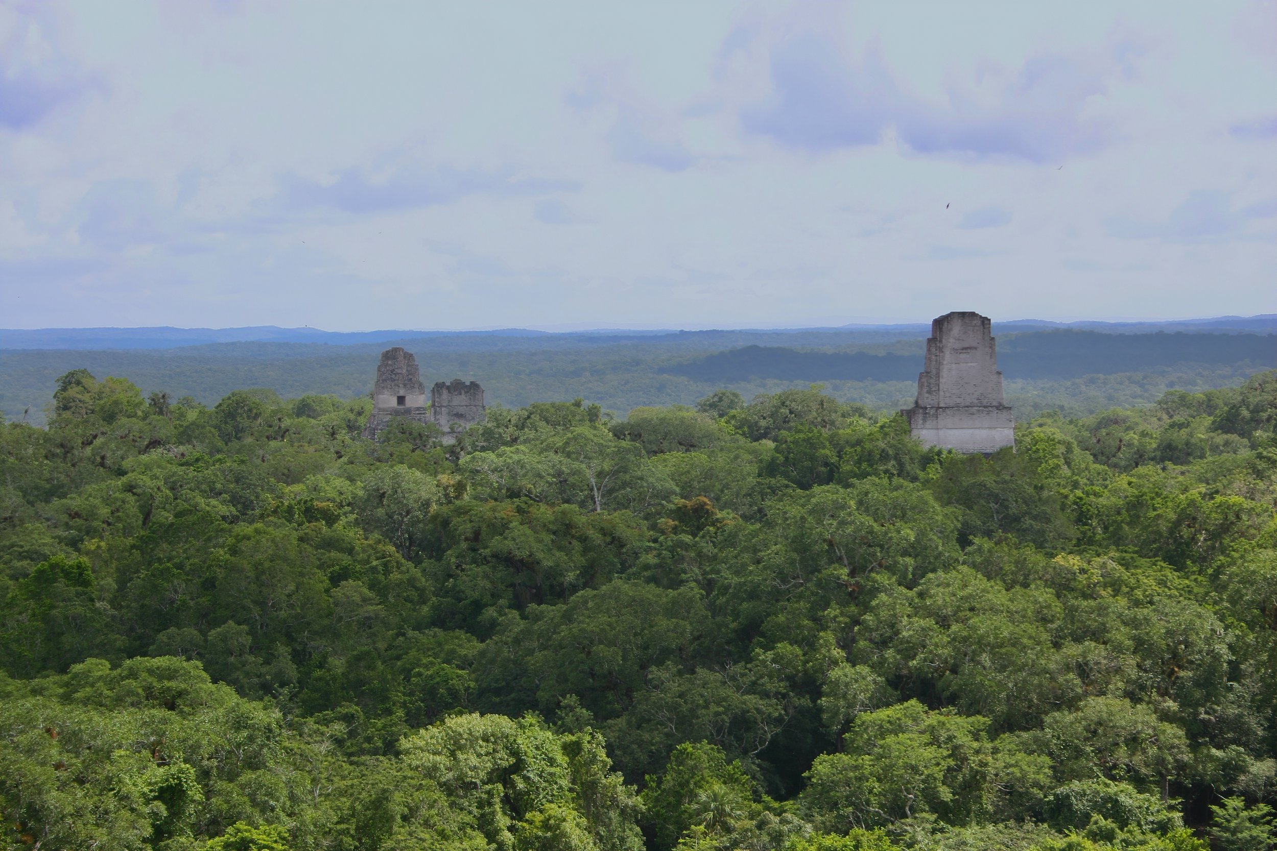  Grand Plaza and tropical forest canopy at Tikal National Park, Péten Department, Guatemala. Image: ©J. Vannini 