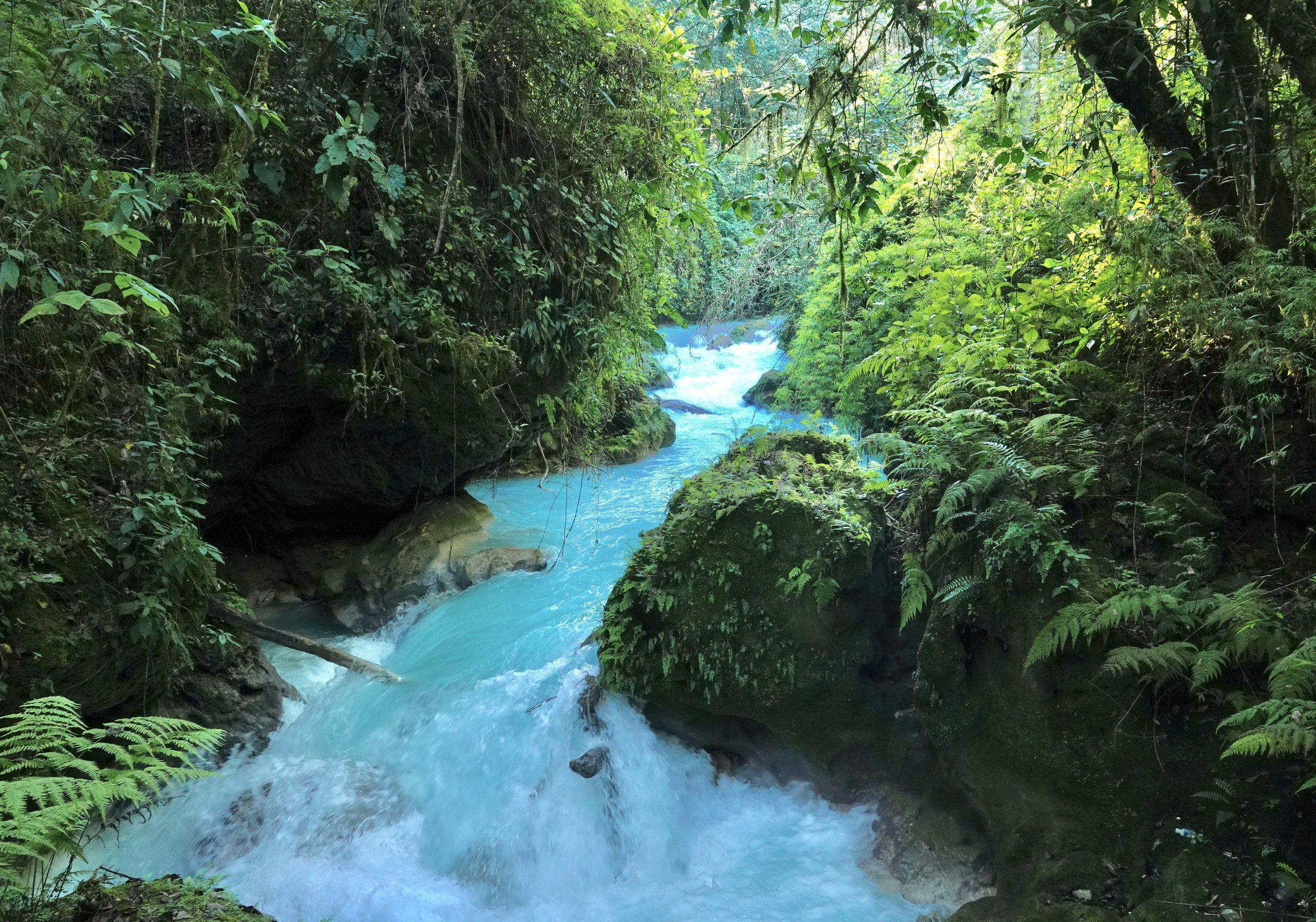  Cloud forest blue water stream flowing over ancient limestone, Huehuetenango Department, Guatemala. Image: ©J. Vannini 